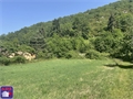 Photo numero 46132155 du bien API423345